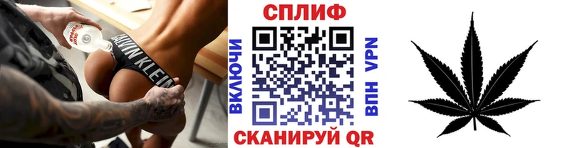 Бошки Шишки MAZAR Бодайбо